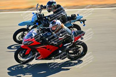 media/Nov-09-2024-2WTD (Sat) [[694fc593b7]]/Group B/Session 2 (Turns 4 5 and 6)/